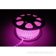 AC 220V flexible 5050 led strip